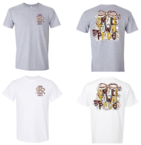 Lions Small Town Tshirt