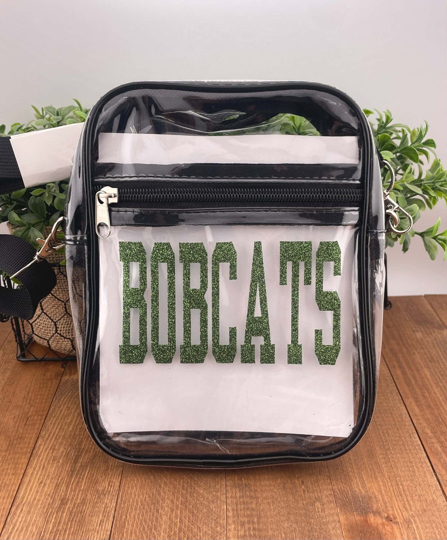 Clear Stadium Crossbody Bag